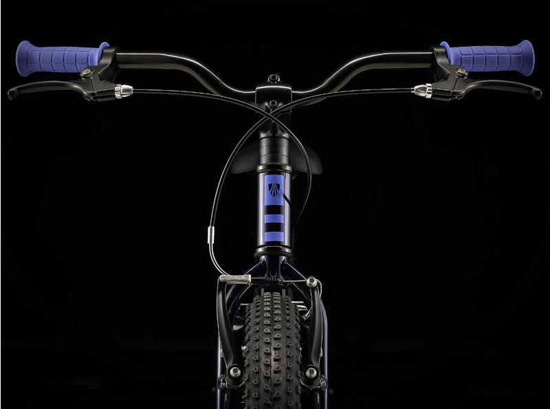 Trek Precaliber 20 Freewheel Kids Hybrid Bike 2026 in Purple Abyss-3